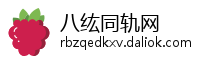 八纮同轨网